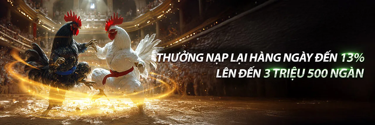 Đa dạng các môn thể thao tại ken88 info